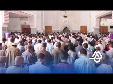 شاهد فيديو لمواطنين يعبرون عن آرائهم في امتلاء المساجد في رمضان