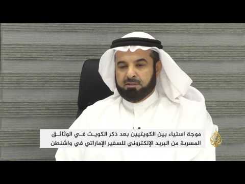 استياء بين الكويتيين بعد ذكر الدولة في الوثائق المسربة