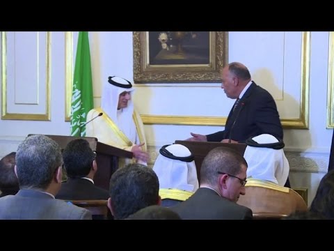 شاهد مصر والسعودية تتفقان على تكثيف التعاون لمكافحة الإرهاب