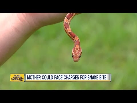 رضيعة تتعرض للدغة ثعبان خاص بوالدتها