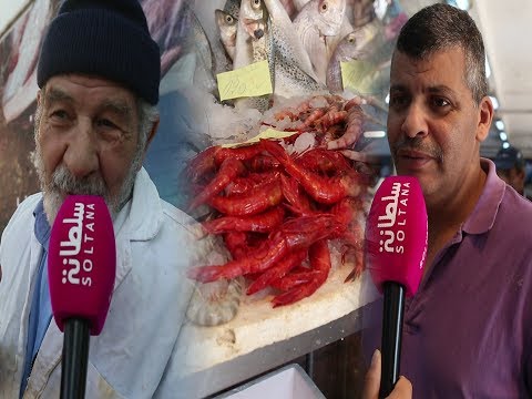 بالفيديو  أسباب ارتفاع أسعار الحوت في المغرب
