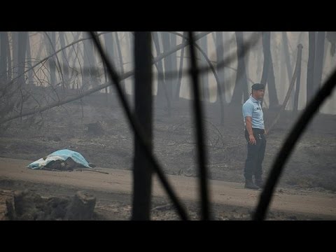 شاهد عشرات القتلى والجرحى بسبب الحرائق في البرتغال