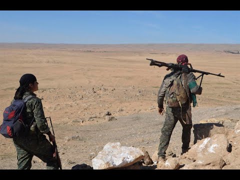 الرئيس الفرنسي والعاهل الأردني يناقشان جهود مكافحة الإرهاب