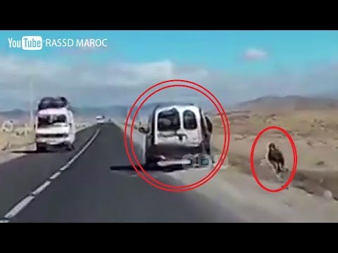 شاهد سيارة ترمي بطفل على طريق عام في المغرب