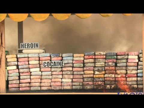 شاهد إتلاف مواد مخدرة بقيمة مليار دولار