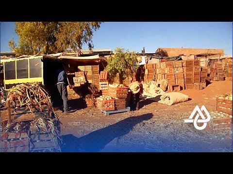 شاهد إغلاق سوق الخضر والفواكه بالجملة في عين تاوجطات