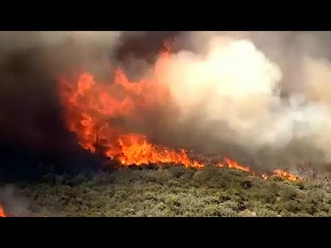 شاهد أكثر من 1500 شخص يغادرون منازلهم بسبب اشتعال نيران في أميركا