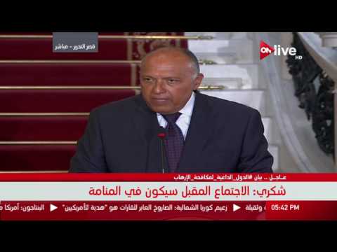 سامح شكري يؤكد أن رد قطر سلبي ويفتقر لأي مضمون