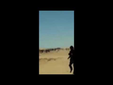 شاهد حالة من الانفلات الأمني في تندوف
