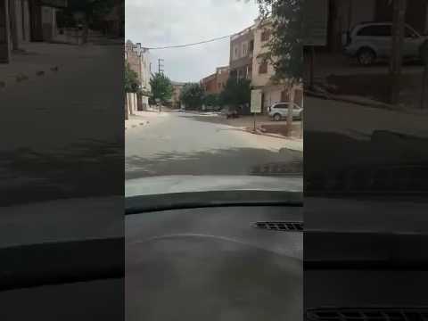 شاهد كيف استغل أحد مسؤولي زاوية الشيخ منصبه