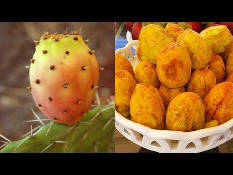 بالفيديو شاهد ماذا يحدث لجسمك إذا أكلت التين الشوكي