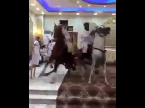 شاهد استعراض بالخيول داخل قاعة حفلة زفاف تثير جدلًا بين السعوديين