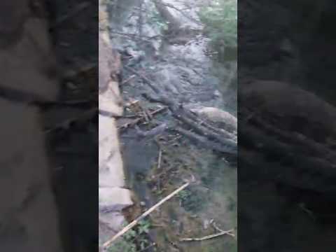 شاهد جمعوي يكتشف الخطر الذي يتسبب في فيضانات زواغة هذه الأيام