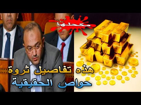 شاهد قيمة ثروة النائب المغربي زين العابدين الحواص