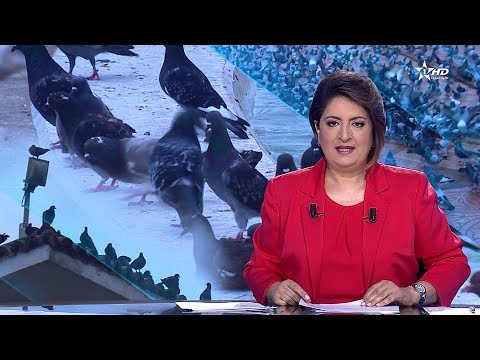 شاهد  تقليص حمام نافورة ساحة محمد الخامس