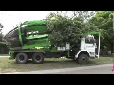 أفضل طريقة لنقل الأشجار دون قطعها