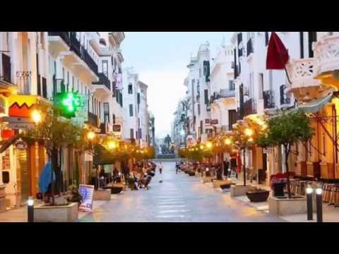 شاهد  كيف أصبحت المملكة المغربية خلال حكمه