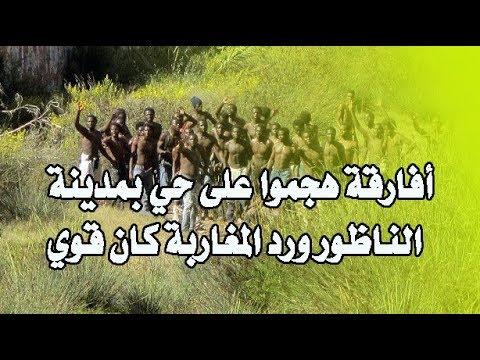 شاهد هجوم مجموعة من الأفارقة في مدينة الناظور