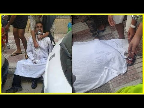 أفعى تنهي حياة صاحبها بطريقة مؤلمة
