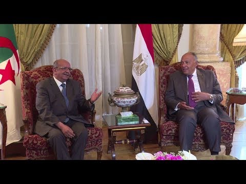 لحظة لقاء وزيري خارجية مصر والجزائر