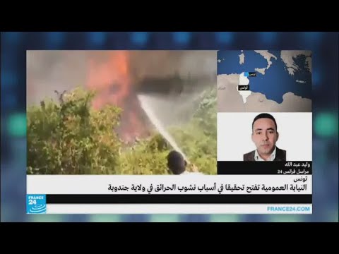 بالفيديو مدى خطورة استمرار الحرائق في تونس
