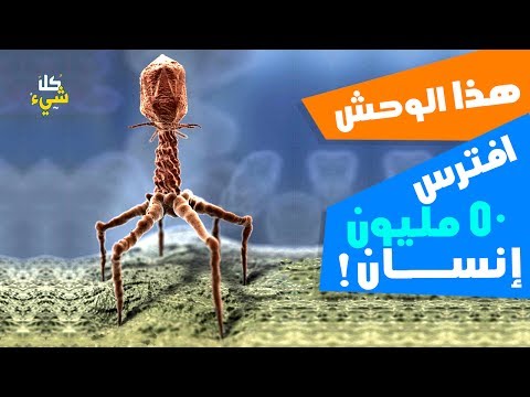 شاهد أميركا تعيد تخليق الانفلونزا الإسبانية الخطيرة