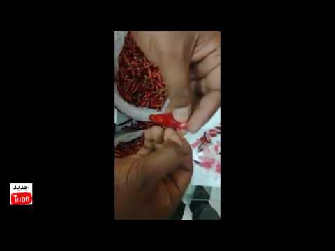 شاهد القبض على مهرّب يخبئ المخدرات داخل الفلفل
