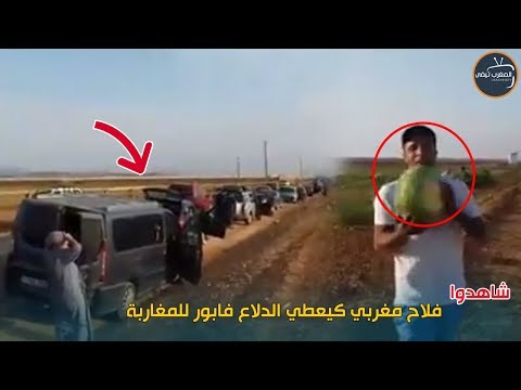 شاهد فلاح يعطي المارة البطيخ من أرضه الزراعية