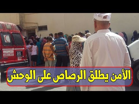 شاهد جريمة قتل بشعة في سلا بطلها مدمن مواد مخدرة