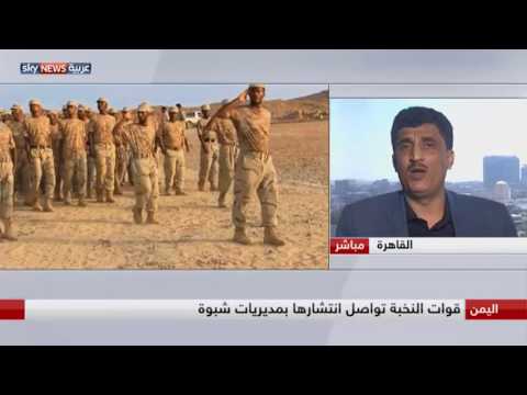 خبير عسكري يؤكد أن خلايا القاعدة في اليمن بدأت تنشط