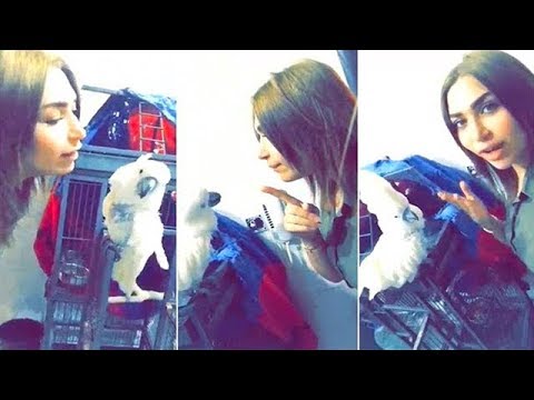 ببغاء دكتوره خلود يقلد صوتها وهي تبكي