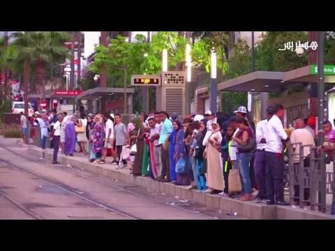 شاهد  الزحام الرهيب في عين الذياب