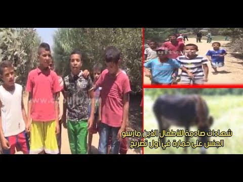 شاهد شهادات صادمة للأطفال الذين مارسوا الجنس مع أنثى حمار في المغرب