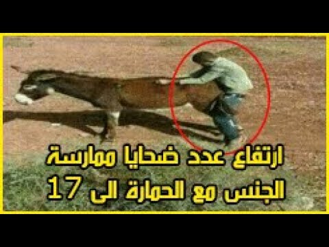 ارتفاع عدد ضحايا ممارسة الجنس مع الحمارة المسعورة إلى 17 شخصًا