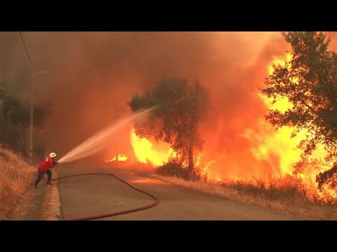رجال الإطفاء يُسيطرون على حرائق الغابات في البرتغال