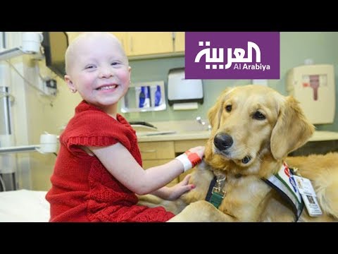 شاهد تقنية رائدة لعلاج مرض اللوكيميا المنتشر بكثافة بين الأطفال