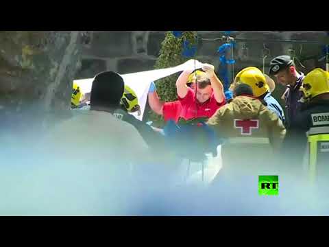 شاهد شجرة بلوط عمرها 200 عام تقتل 13 مصليًا