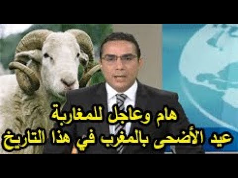 شاهد أحد البائعين يتوقع ركود الأسواق في عيد الأضحى