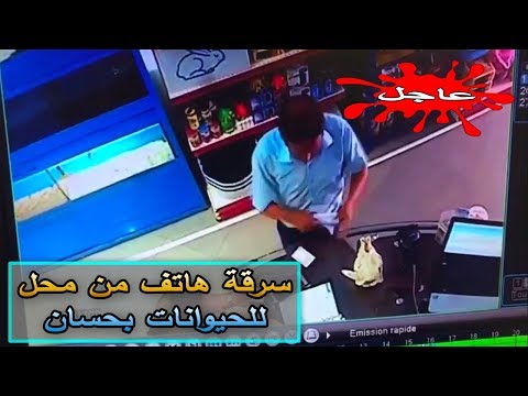 شاهد سرقة هاتف محمول من محل لبيع الحيوانات في الرباط