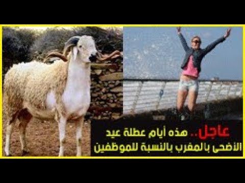 تحديد عطلة عيد الأضحى في المغرب بالنسبة للموظفين