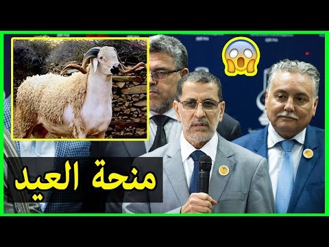 الحكومة المغربية توزع منحة العيد على الموظفين