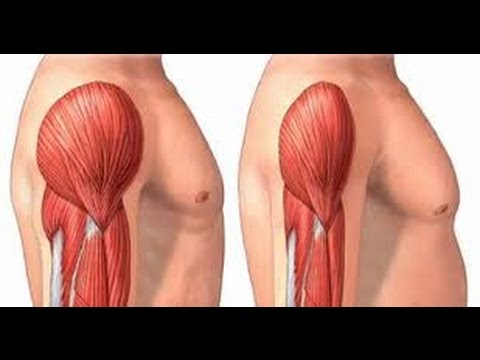 فيديو كيفية بناء العضلات بشكل سريع