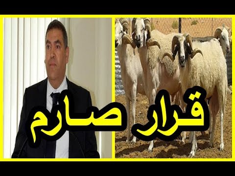 قرار صادم من وزارة الداخلية المغربية