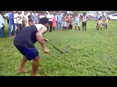 شاهد رجل يسحر ثعبانًا ليستعيد 7 بيضات سرقها من مزرعة