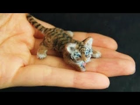 7 حيوانات أصغر من حجمها الطبيعي بشكل لا يصدق