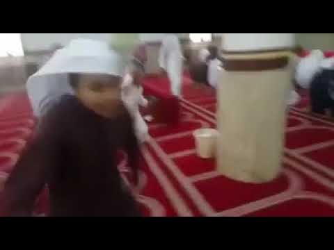 شاهد كلب يثير الرعب في المصلين داخل مسجد في المدينة المنورة