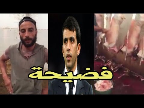 شاهد رد صادم من هشام الكروج على رئيس بلدية بركان