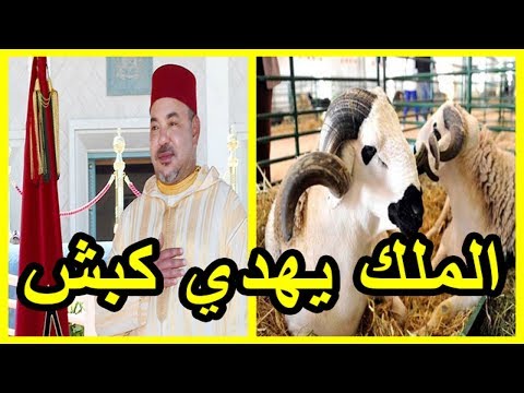 شاهد هؤلاء ينتظرون كبش عيد الأضحى من ملك المغرب