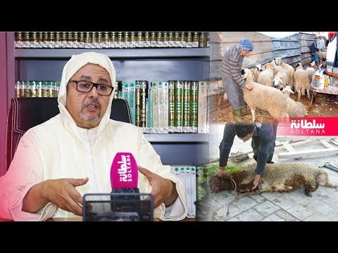 تعرف على الشروط الواجب توافرها في الأضحية