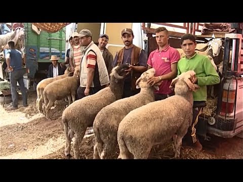 بيان وزارة الداخلية بشأن قضاء عطلة عيد الأضحى